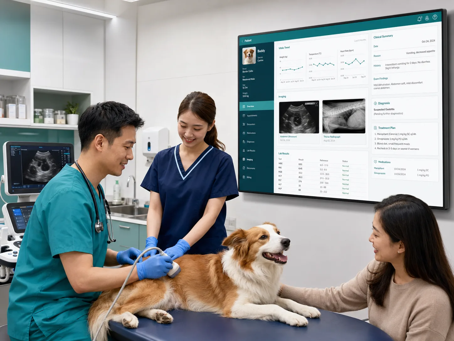 Veterinary ultrasound with a high-fidelity screen showing EMR, imaging, laboratory and treatment plan